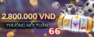 bet66