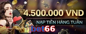 bet66