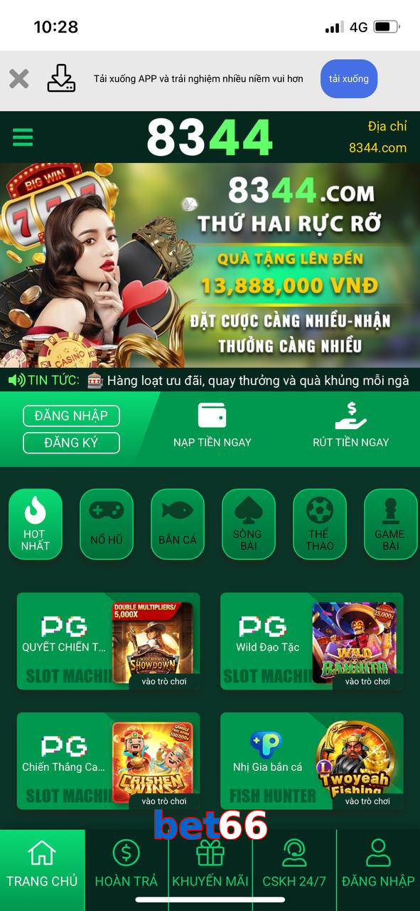 bet66