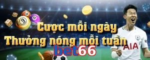 bet66